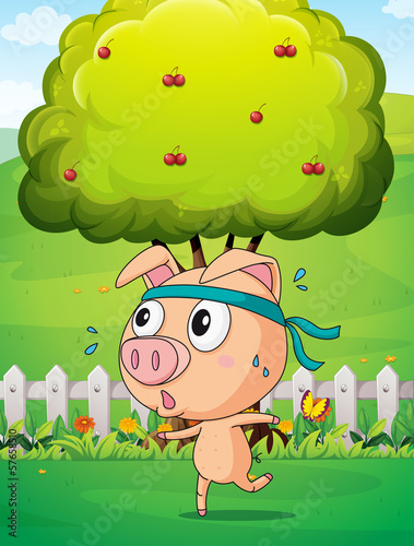 A pig exercising near the tree
