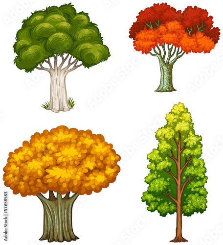 Four trees with different colors