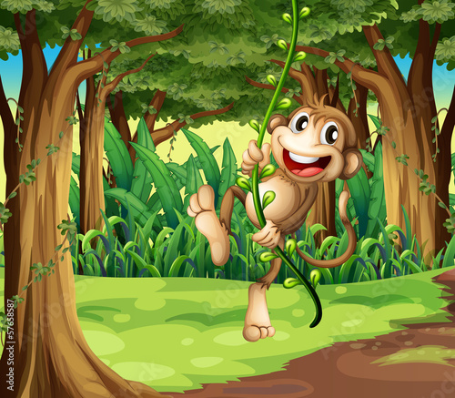 Fototapeta Naklejka Na Ścianę i Meble -  A monkey playing with the vine trees in the middle of the forest