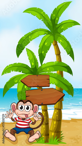 A boastful monkey at the beach near the arrowboards