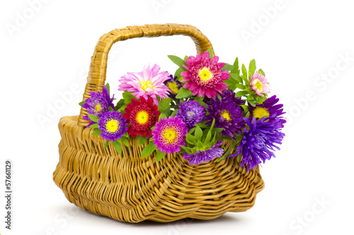 Bouquet of colorful asters flowers in a basket