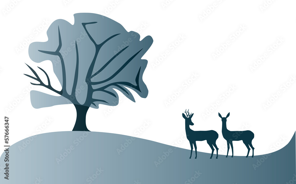 Roe deer landscape Roe deer landscape