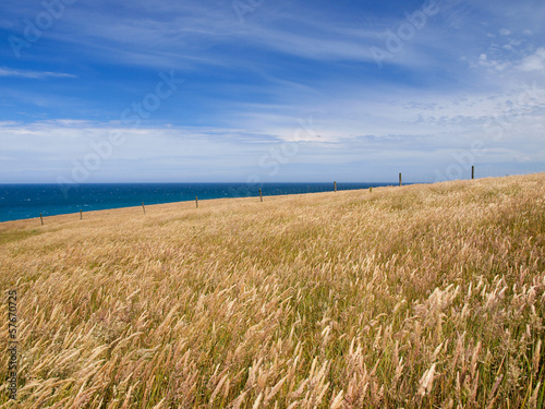 Background of a grassy hill