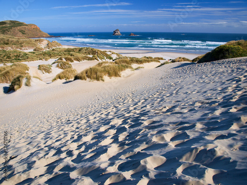 Beach and dunes