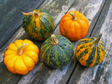 Small pumpkins and gourds as decoration at fall.