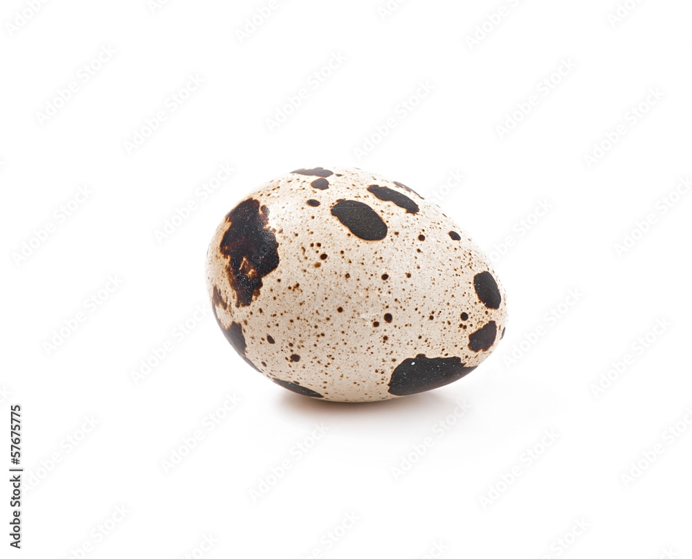 Quail eggs closeup isolated on white background Quail eggs closeup isolated on white background
