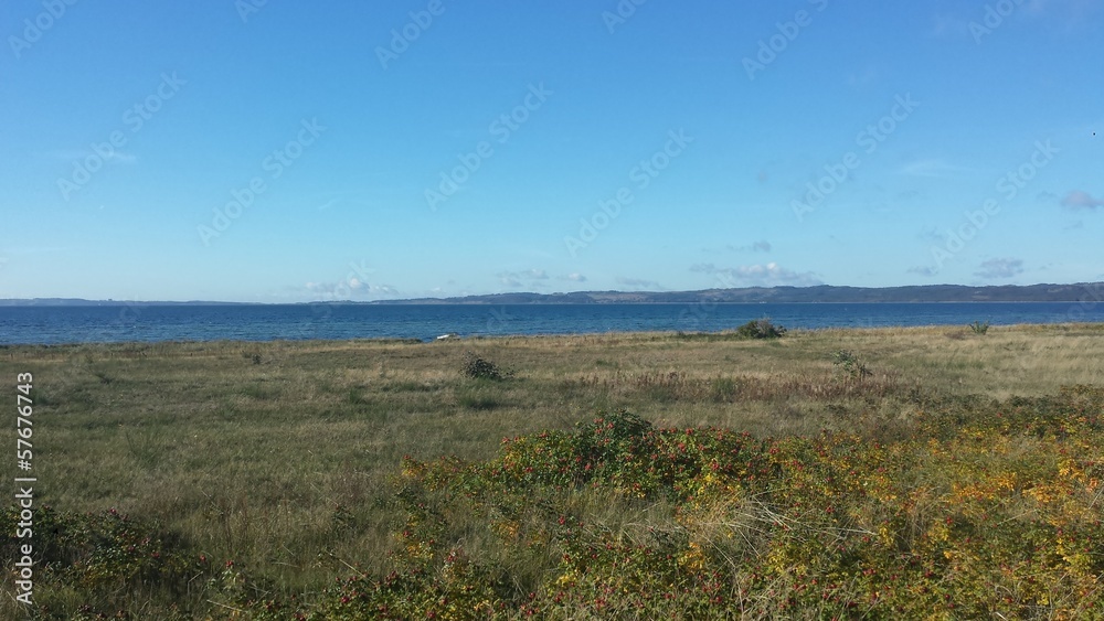 Fototapeta premium Ostseeküste