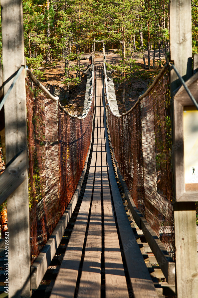 Fototapeta premium Footbridge bridge