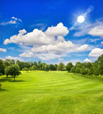 golf course and blue sunny sky. green field landscape