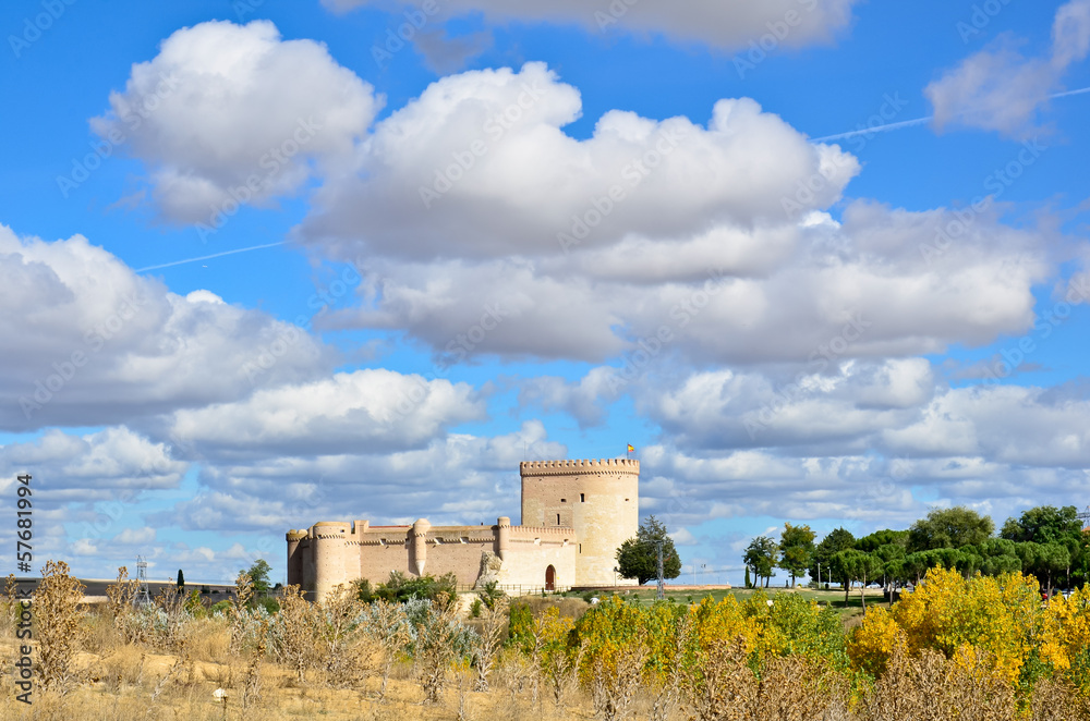 Castillo de Arevalo, Avila, España