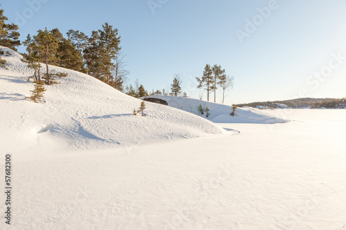 Fototapeta Naklejka Na Ścianę i Meble -  Winter, coast of the frozen lake.