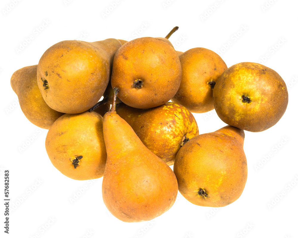 Bosc pears isolated on white