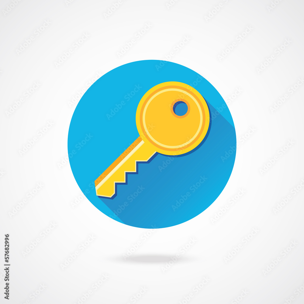 Vector Key Icon