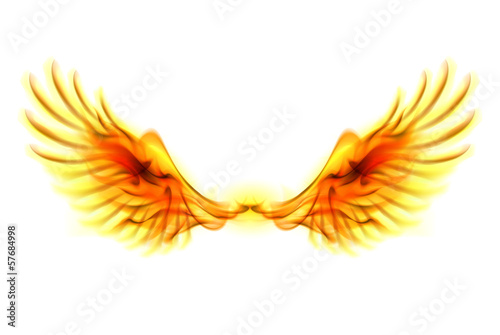 Fire wings. © Dvarg