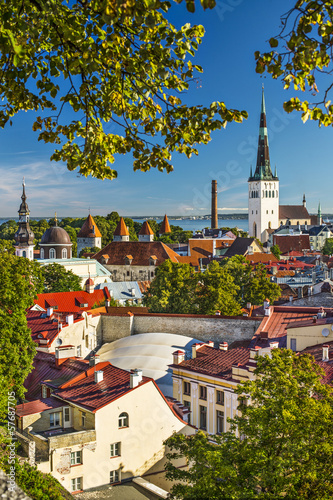 Tallinn, Estonia Skyline