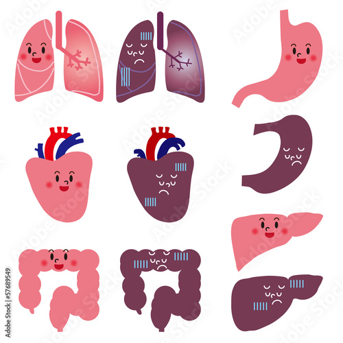 ヒトの臓器キャラクター