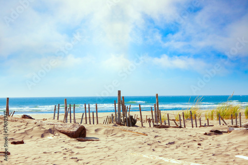 Sandy ocean shoreline with dunes and grassy edge, fencing