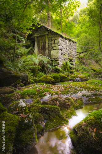 Ancient stone house in a green forest