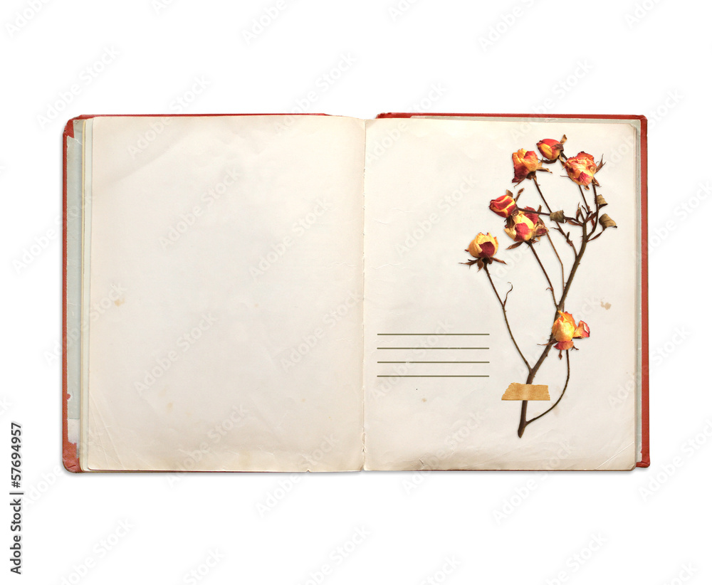 Old book and dried flowers of rose Old book and dried flowers of rose