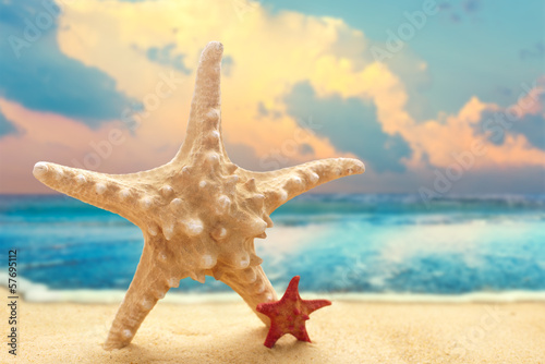 Fototapeta Naklejka Na Ścianę i Meble -  Big and small starfishes on the sandy beach