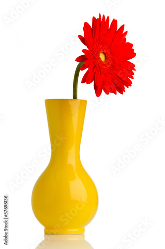 Fototapeta Naklejka Na Ścianę i Meble -  Gerbera.