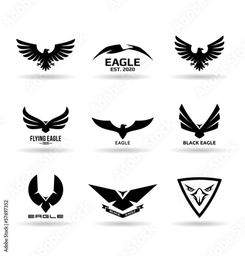 Eagles (11) photo