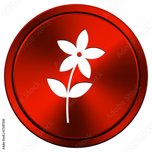 Flower icon