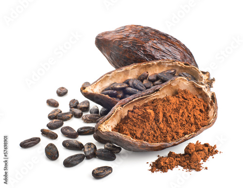 Cocoa pod, beans and powder isolated on a white photo