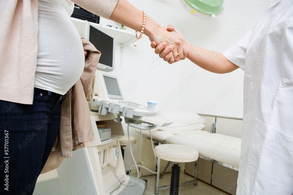 Fototapeta premium Pregnant Woman And Doctor Shaking Hands