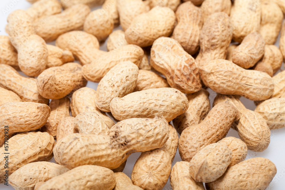 .Dried peanuts in closeup on the white background .Dried peanuts in closeup on the white background