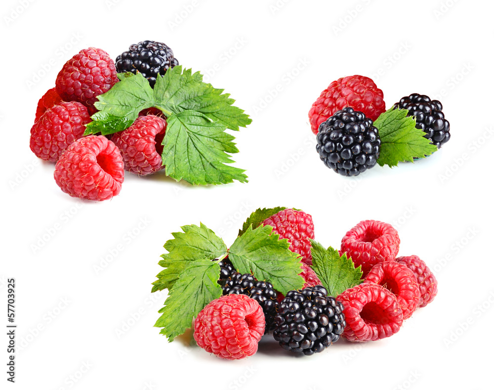 Fresh berries Fresh berries