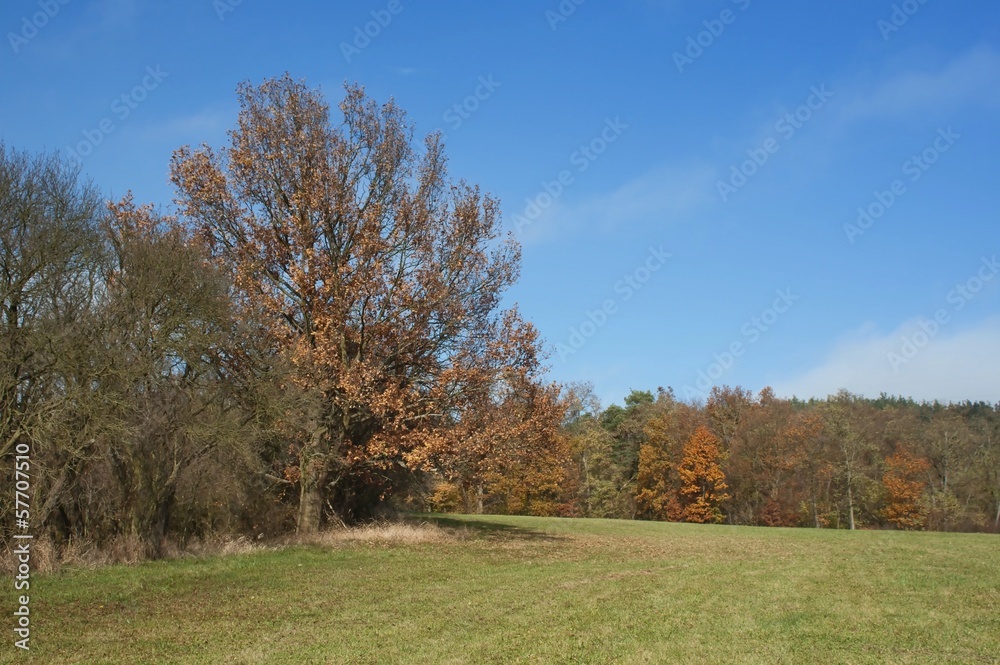 autumn landscape in Czech Republic