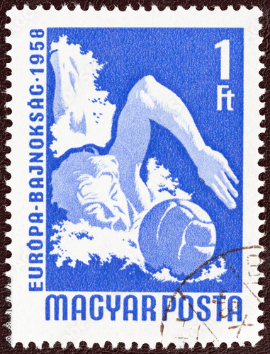 Water polo player (Hungary 1958) photo