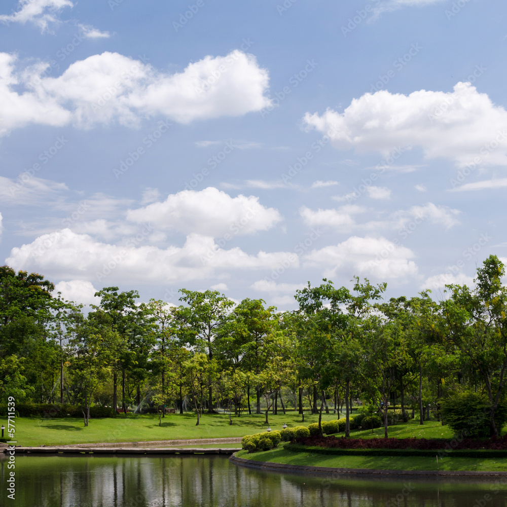 green trees in the park with blue sky and clouds background