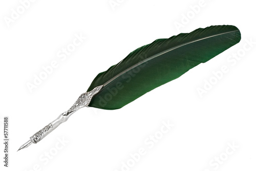 Feather quill isolated on white background photo