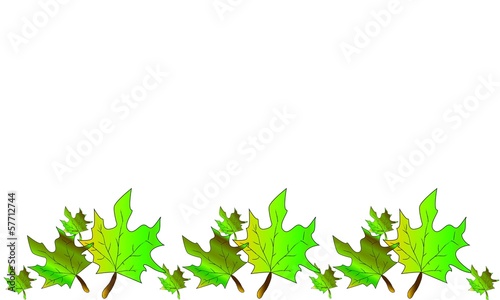 Hojas en otoño
