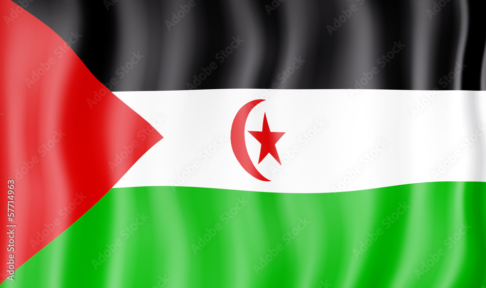 Obraz premium National Flag of Western Sahara