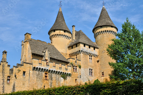 France, picturesque castle of Puymartin in Dordogne photo