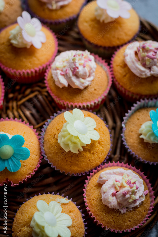 cake and cupcakes cake and cupcakes