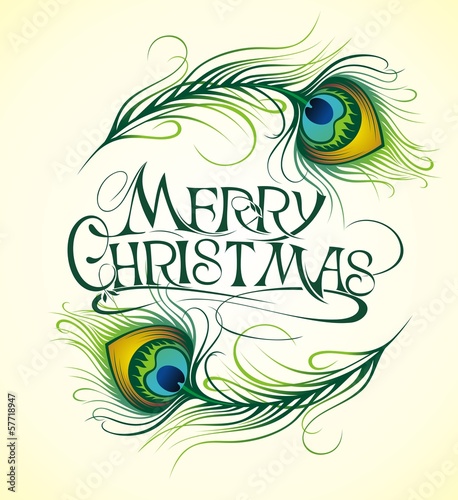 Beautiful vector peacock feathers