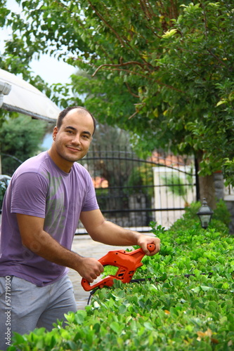 man pruning shrub with tool in garden