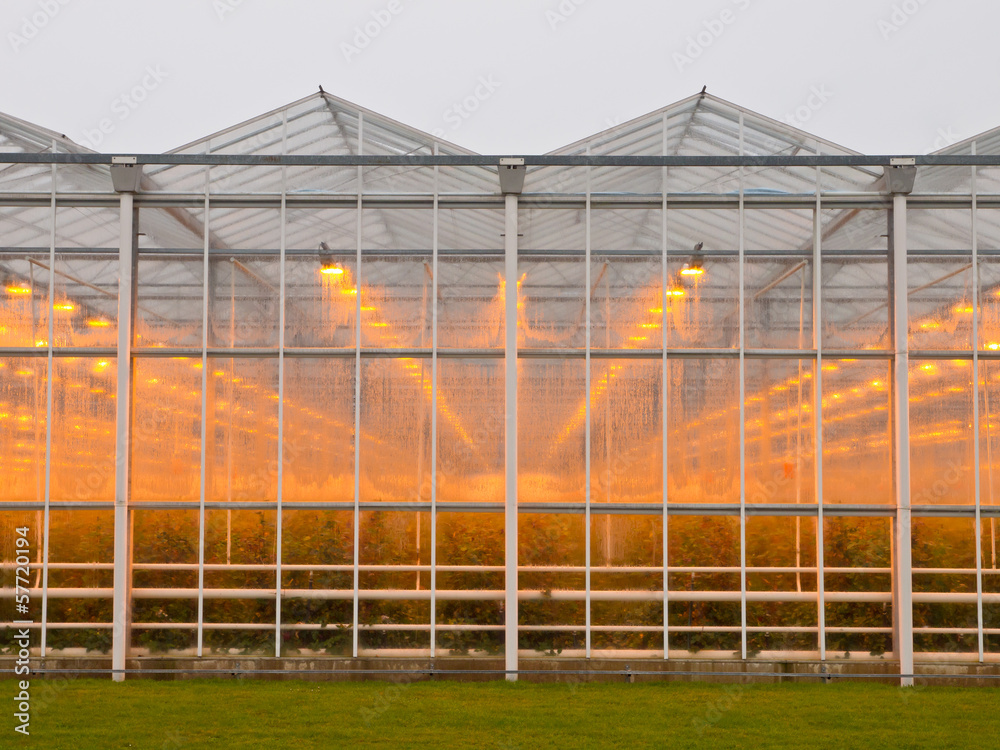 Obraz premium commercial glasshouse