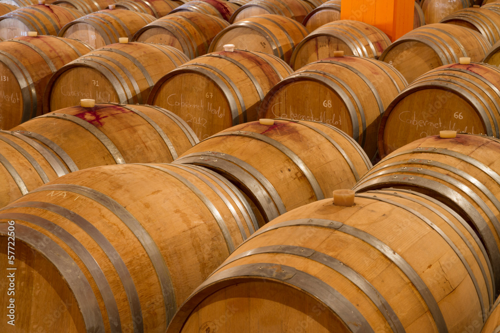 Oak wine barrels in a winery celar