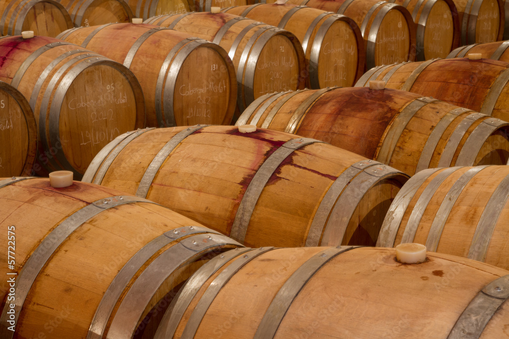 Oak wine barrels in a winery celar