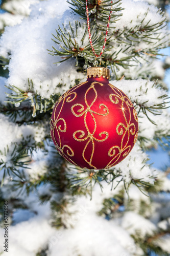 Christmas Bauble on a Pine Tree