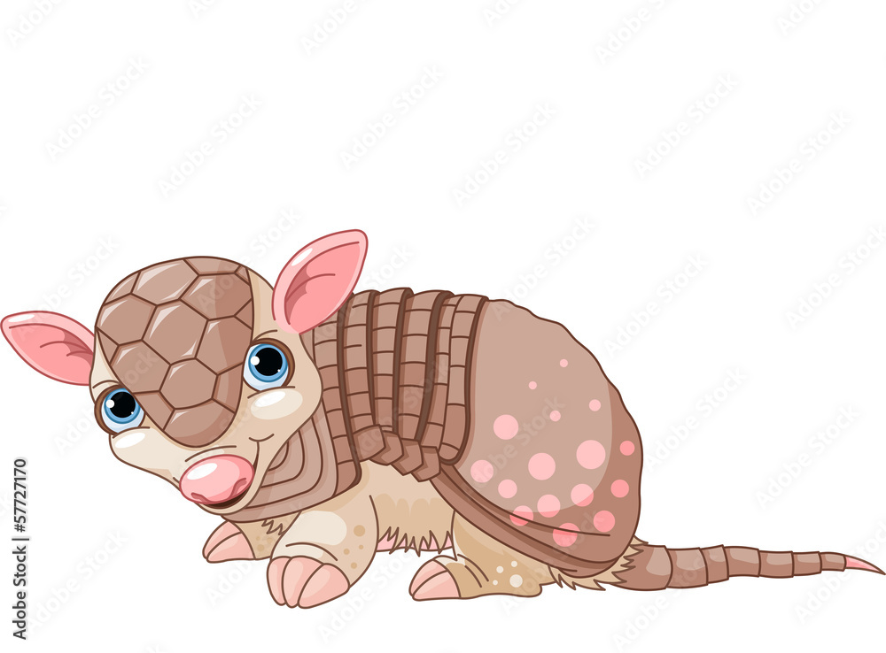 Fototapeta premium Armadillo cartoon