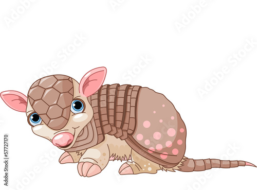 Armadillo cartoon