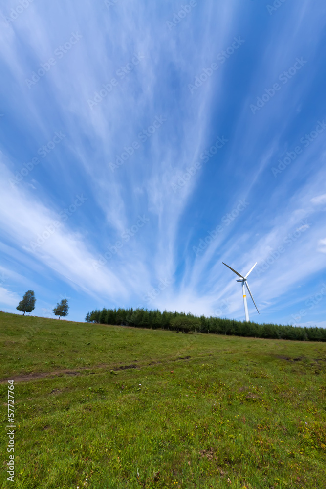 Fototapeta premium wind power generator on the grassland