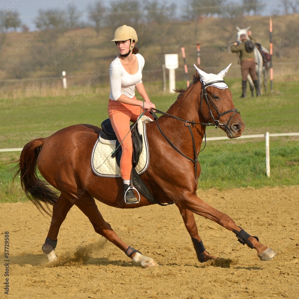 équitation équitation