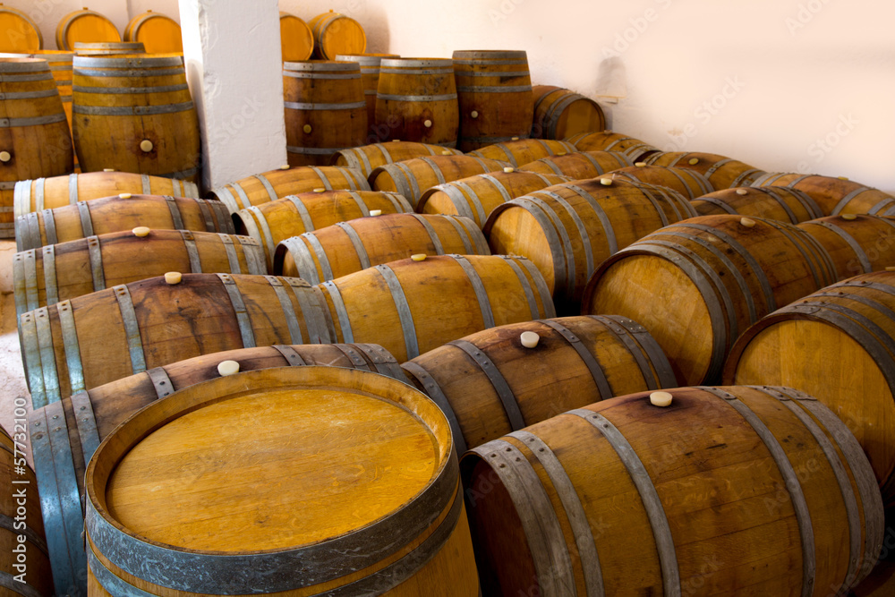 wine wooden oak barrels in winery